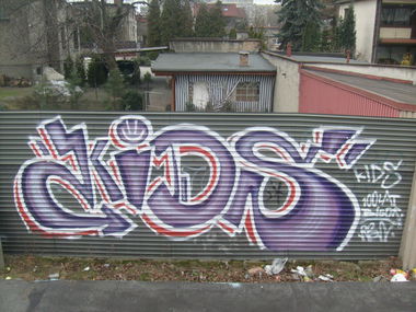 Graffiti Bombing - Photo by jakuza