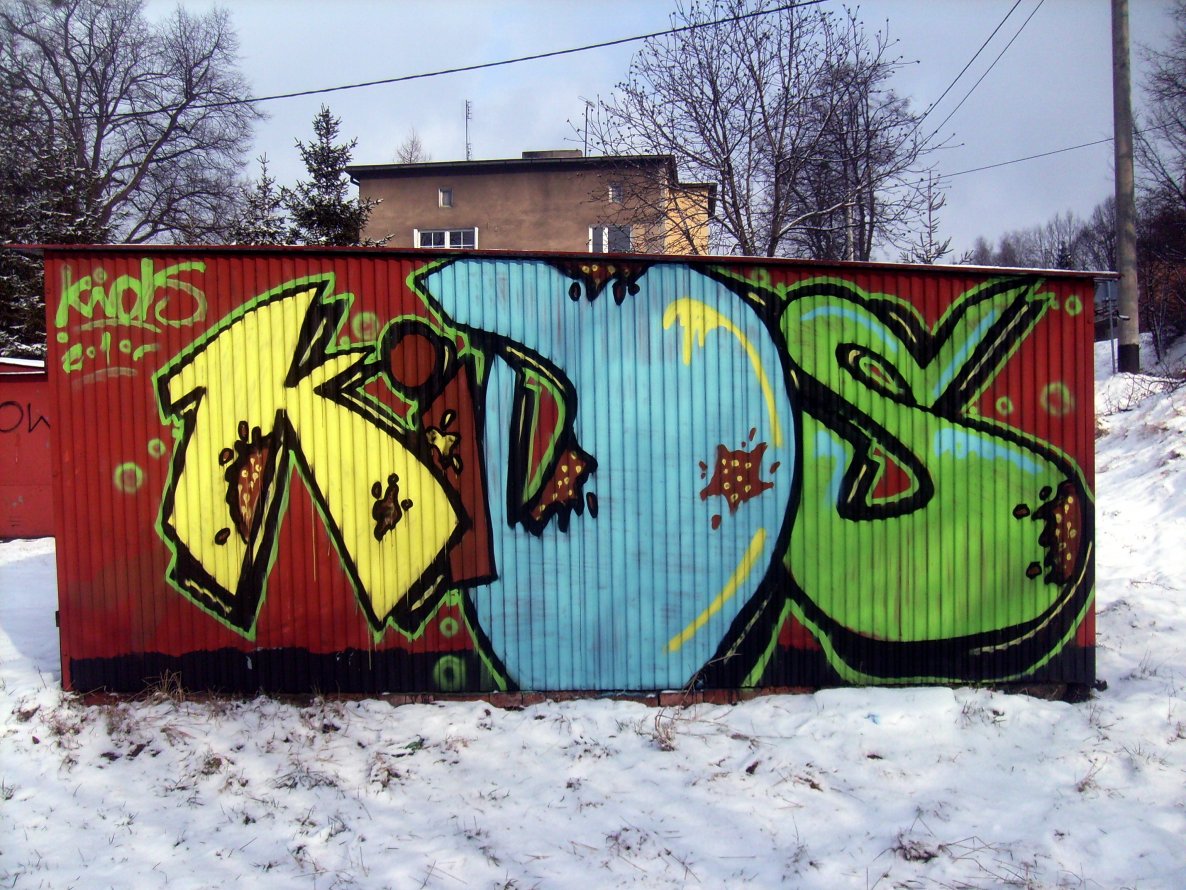 Graffiti Bombing - Photo by jakuza
