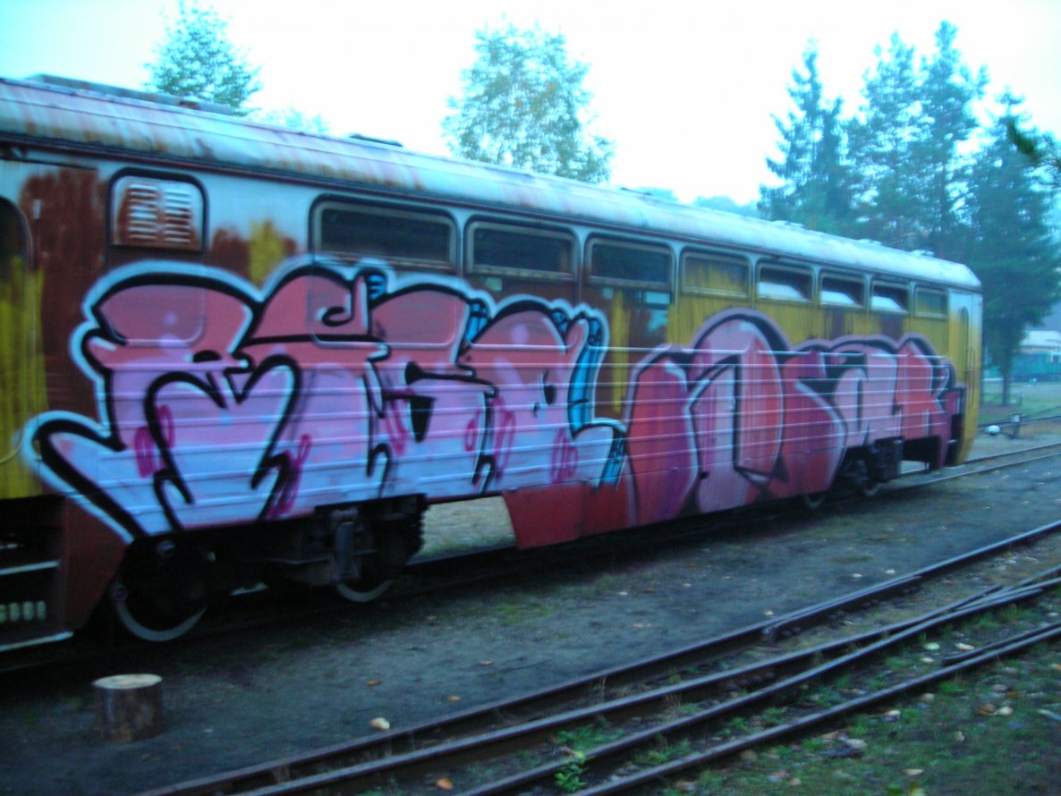 Graffiti Train - Photo by jakuza