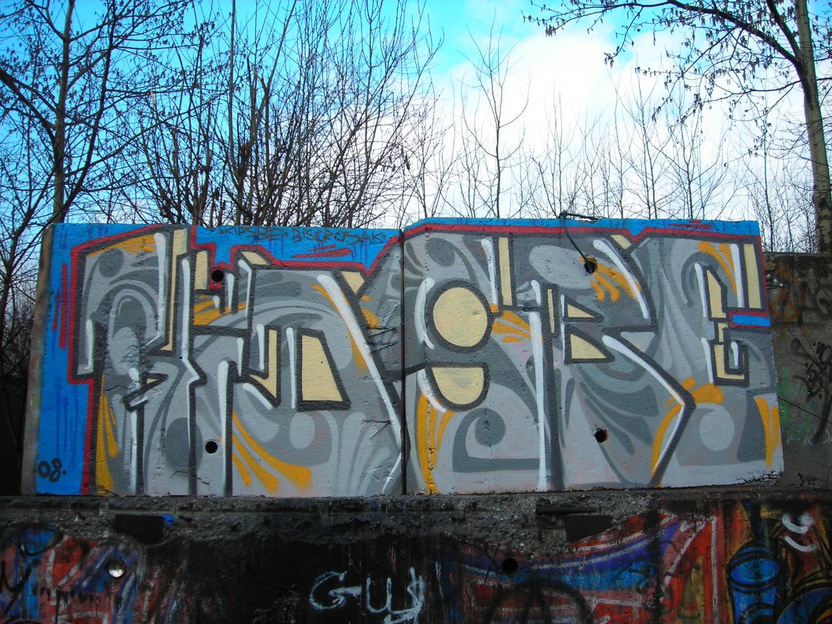 Graffiti Bombing - Photo by jakuza