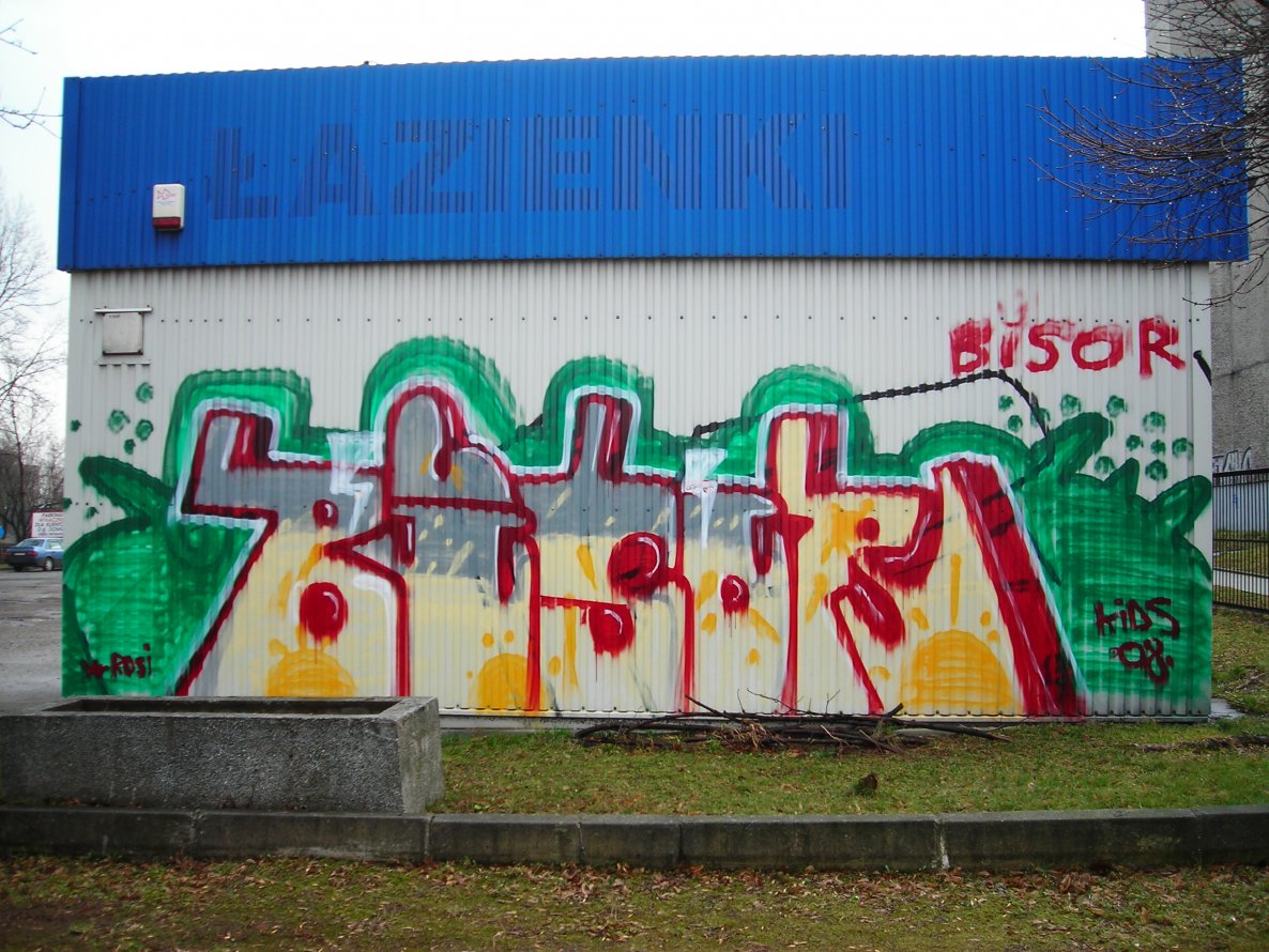 Graffiti Bombing - Photo by jakuza