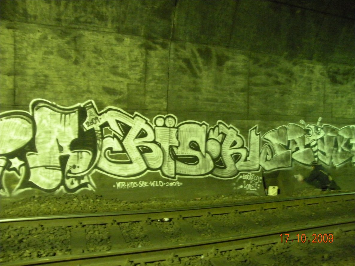 Graffiti Bombing - Photo by jakuza