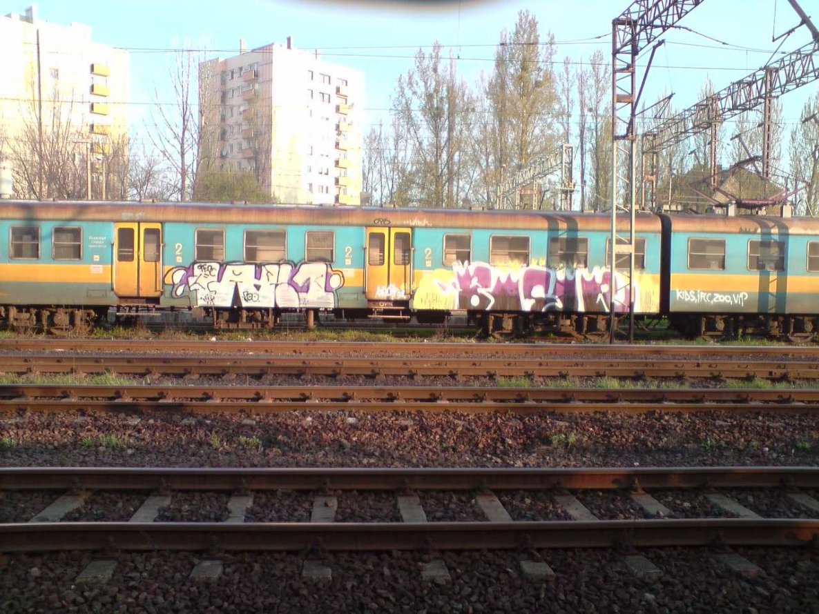 Graffiti Train - Photo by jakuza - kids, ifcc, zoo