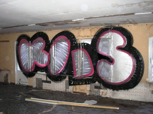 Graffiti Bombing - Photo by jakuza (lule)