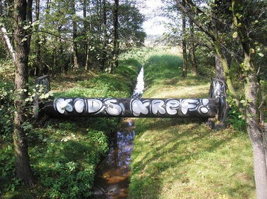 Graffiti Bombing - Photo by jakuza