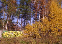 Photo #39475 by Savior