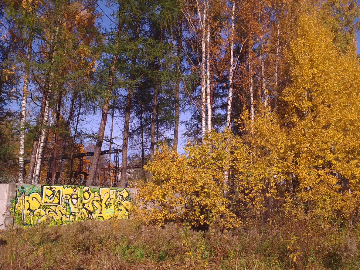 Graffiti Artwork in Saint Petersburg - Photo by jasme (2013)