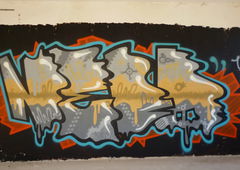 Photo #44408 by TagHagel