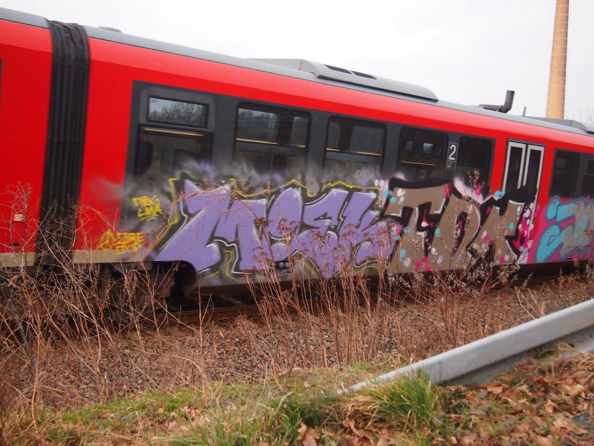 Graffiti Train in Dresden - Photo by jeffrail - MOEK, TRK (2015)