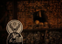 Photo #73565 by DIRK