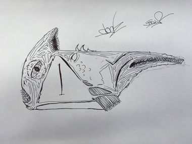 Graffiti Wall - Photo by jocus - dogz, jocus