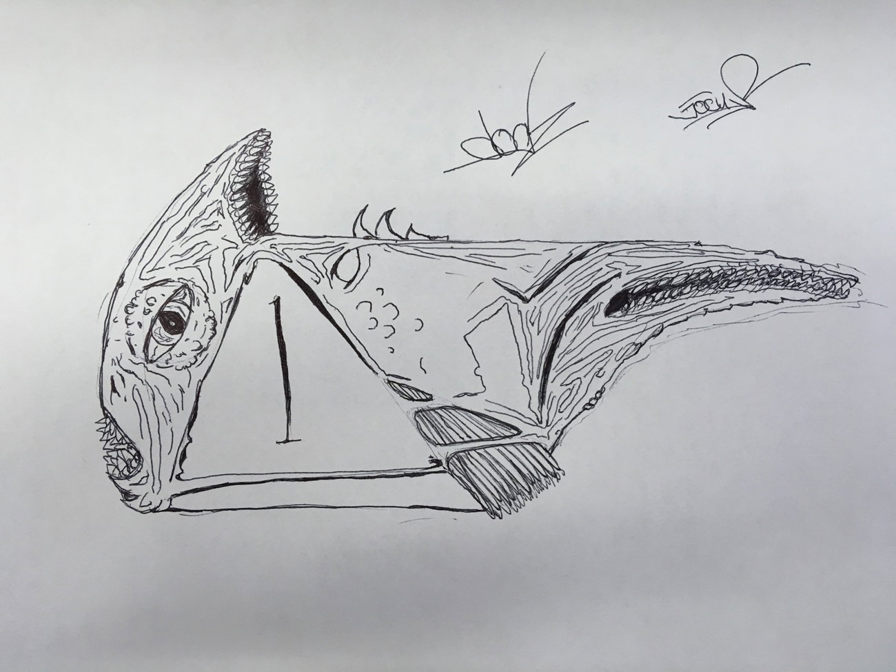 Graffiti Wall - Photo by jocus - dogz, jocus