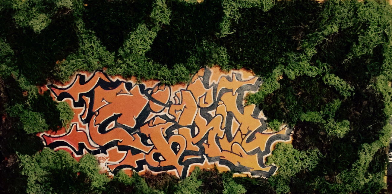 Graffiti Artwork - Photo by jollibear - Ciko, natural, canvans