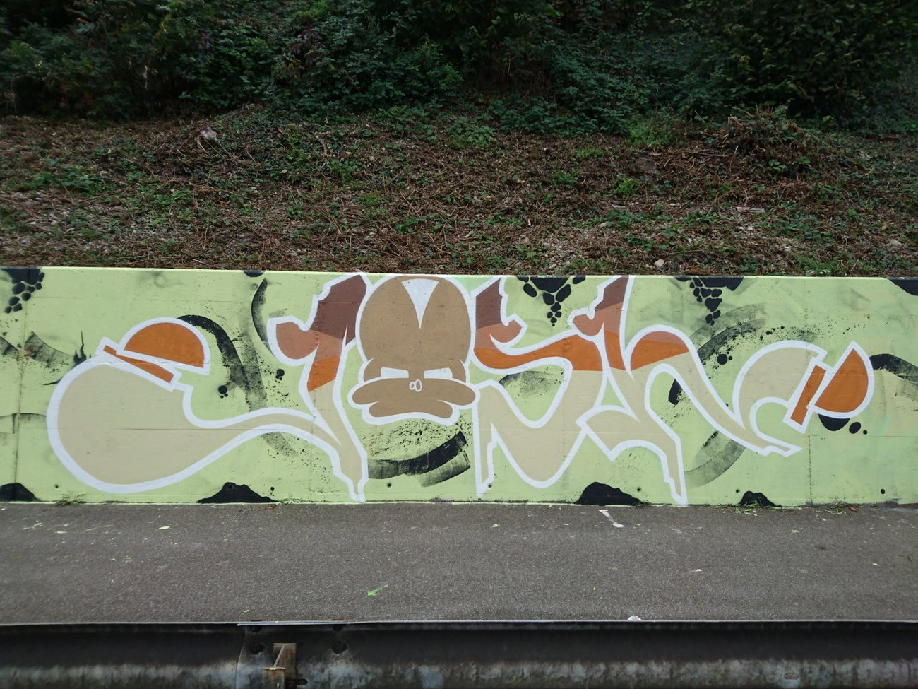 Graffiti Wall - Photo by joshone