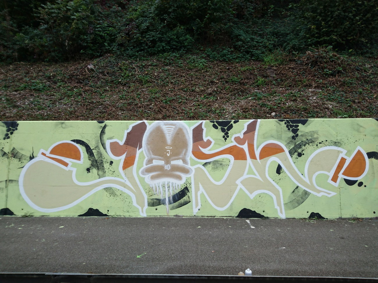 Graffiti Wall - Photo by joshone