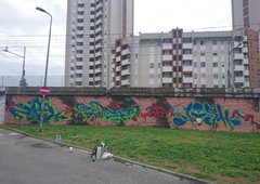 Photo #185157 by TagHagel