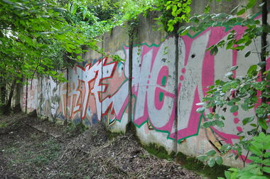 Graffiti Bombing - Photo by jozo - meno_frte_kush_beras (2013)