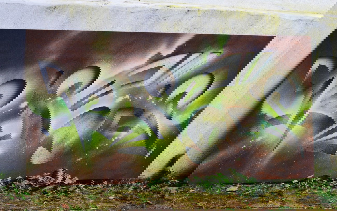 Graffiti Artwork - Photo by jumbos - bias