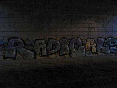 Graffiti Bombing - Photo by junkie0341