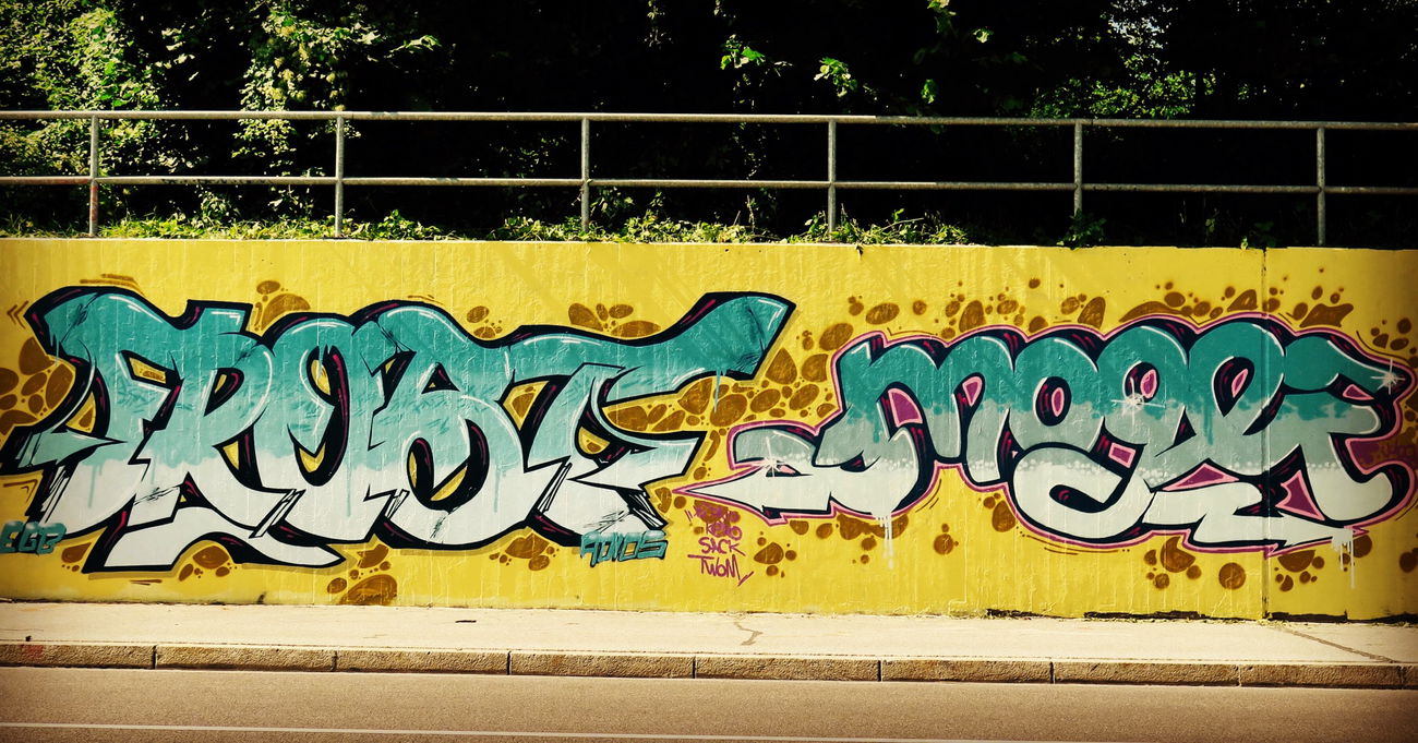 Graffiti Wall - Photo by justINjungle - Frost, Mogli, Ingolstadt (2016)