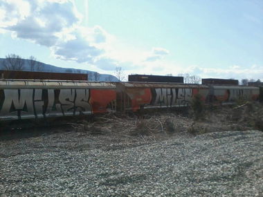 Graffiti Train in Surrey - Photo by justmy2cents - Big, Miles, SDK (2010)