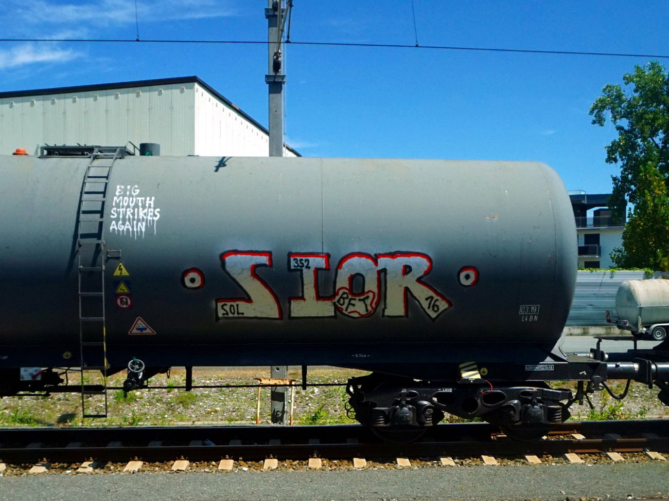 Graffiti Train in Graz - Photo by kami68k - sior, train, freight (2016)