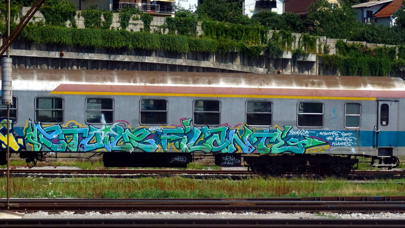 Graffiti Train in Maribor - Photo by kami68k - ETOILEFILANTE, train, maribor (2017)
