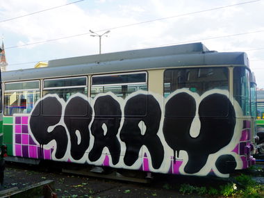 Graffiti Train in Graz - Photo by kami68k - sorry, train, graz (2017)