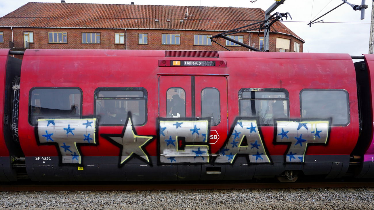 Graffiti Train in Copenagen - Photo by kami68k - tomcat, copenhagen, train (2016)