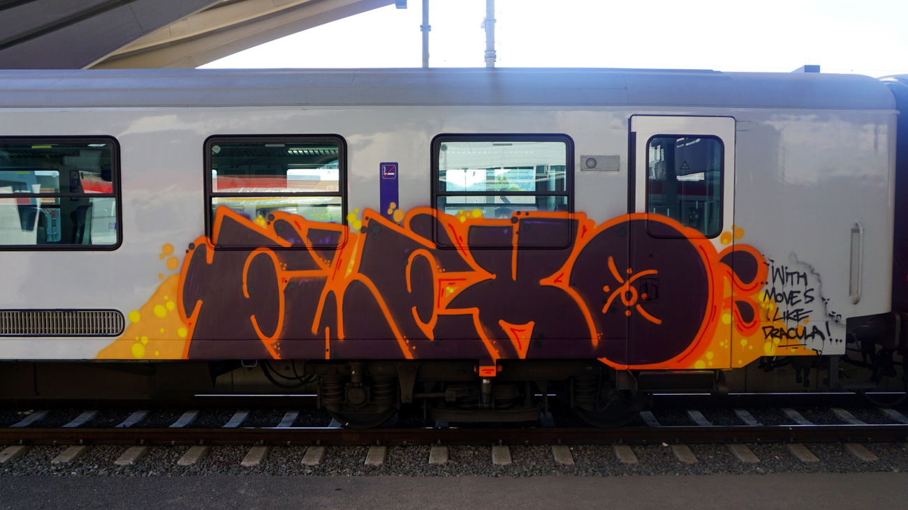Graffiti Train in Graz - Photo by kami68k - graz, 2017, öbb (2017)
