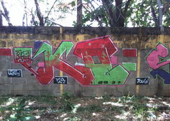 Photo #42168 by tampa911