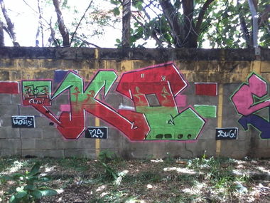 Graffiti Bombing in Schlcher - Photo by kaos13