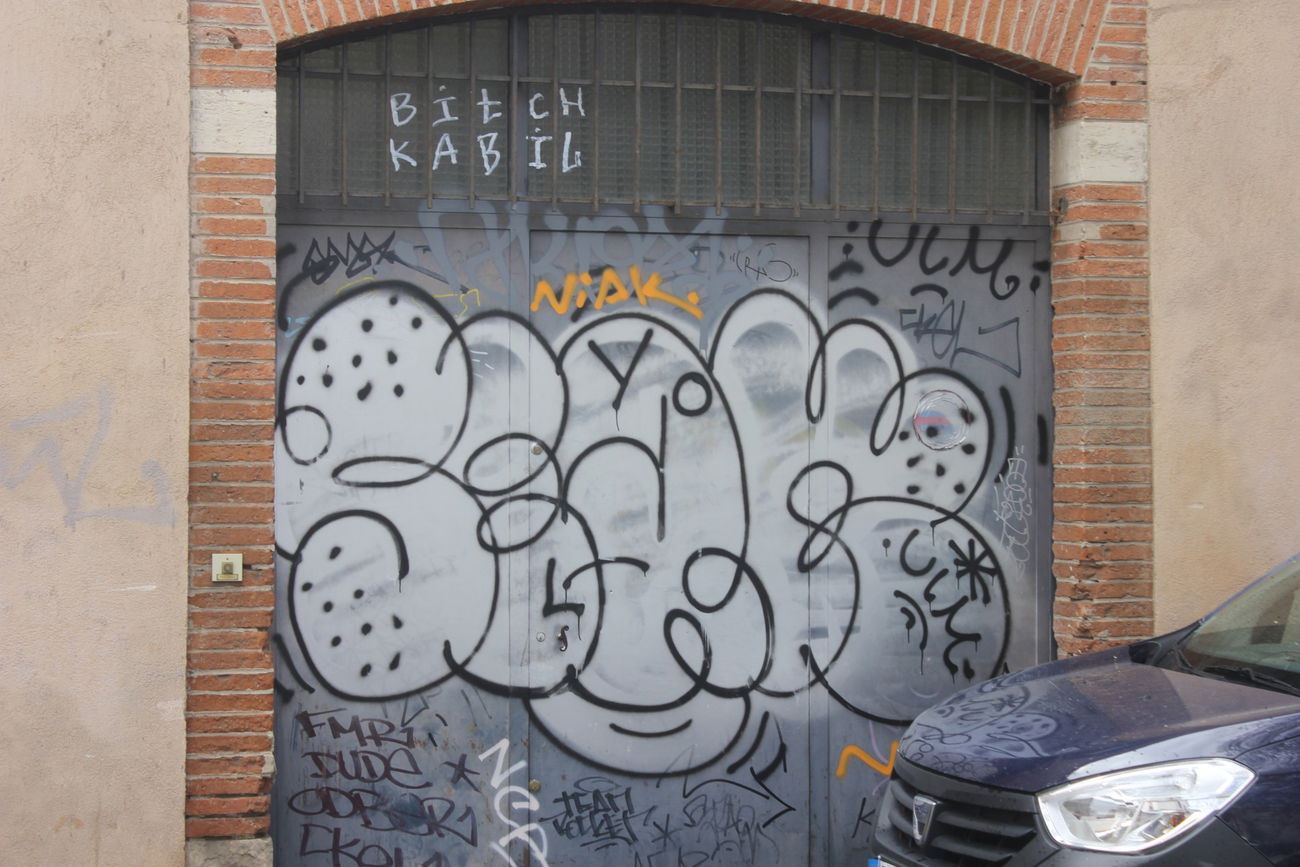Graffiti Bombing - Photo by karmasutra - seak