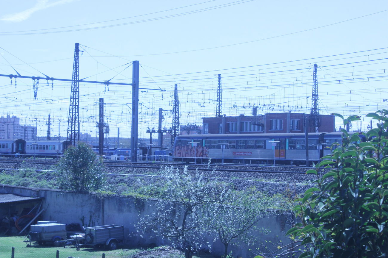 Graffiti Train - Photo by karmasutra - enjoy