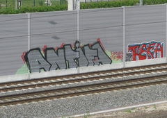 Photo #155231 by TagHagel