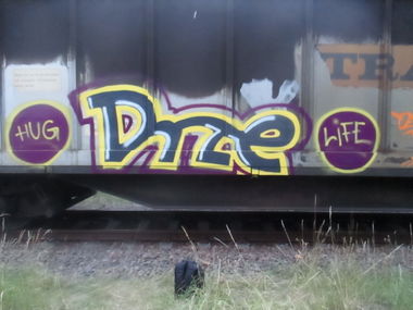 Graffiti Train - Photo by kartoffelsuppe77 - Drze, Kns