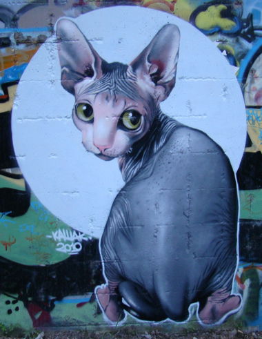 Graffiti Wall in Vladivostok - Photo by kashak