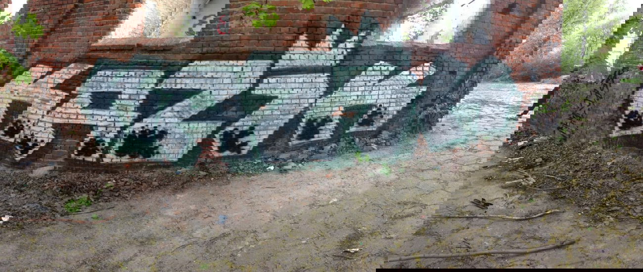 Graffiti Wall - Photo by kazik - kazik (2015)