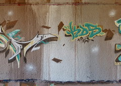 Photo #181328 by Belt