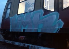 Photo #72808 by TagHagel