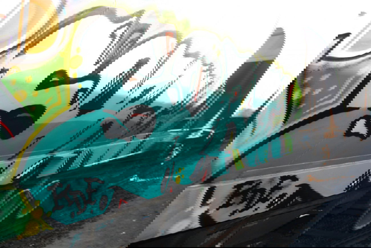 Graffiti Train - Photo by kermit - sort