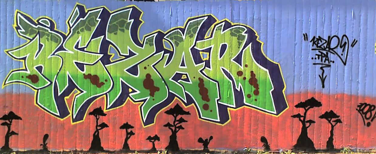 Graffiti Wall - Photo by kez1996 - Kezar, TPA, Kez (2008)