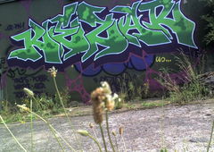 Photo #196371 by LeerMarker