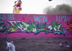 Graffiti Wall in Berlin - Photo by kidpone (2024)