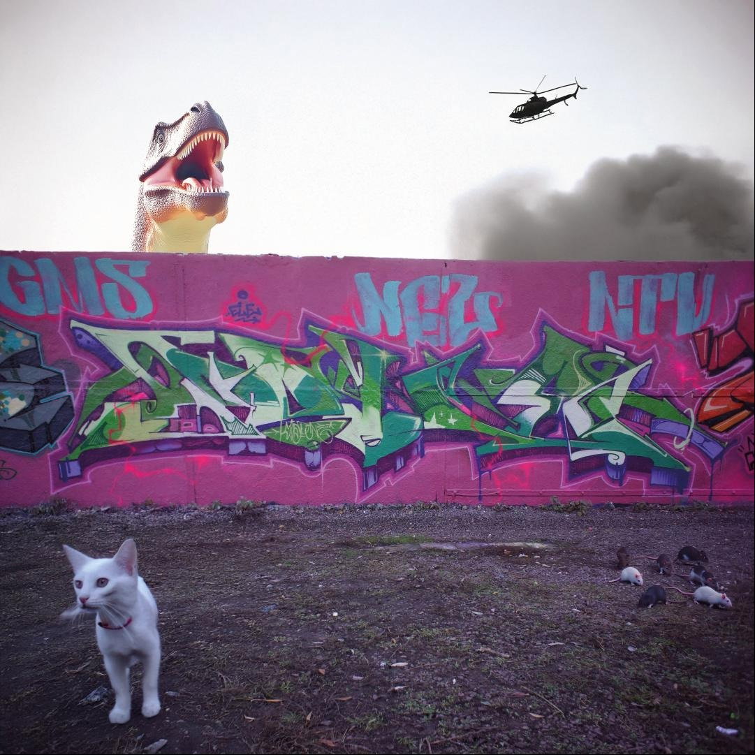 Graffiti Wall in Berlin - Photo by kidpone (2024)