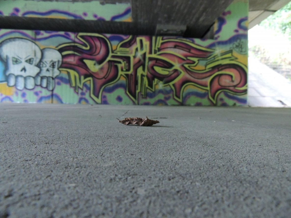 Graffiti Bombing - Photo by kieltaggsatnight - Coige