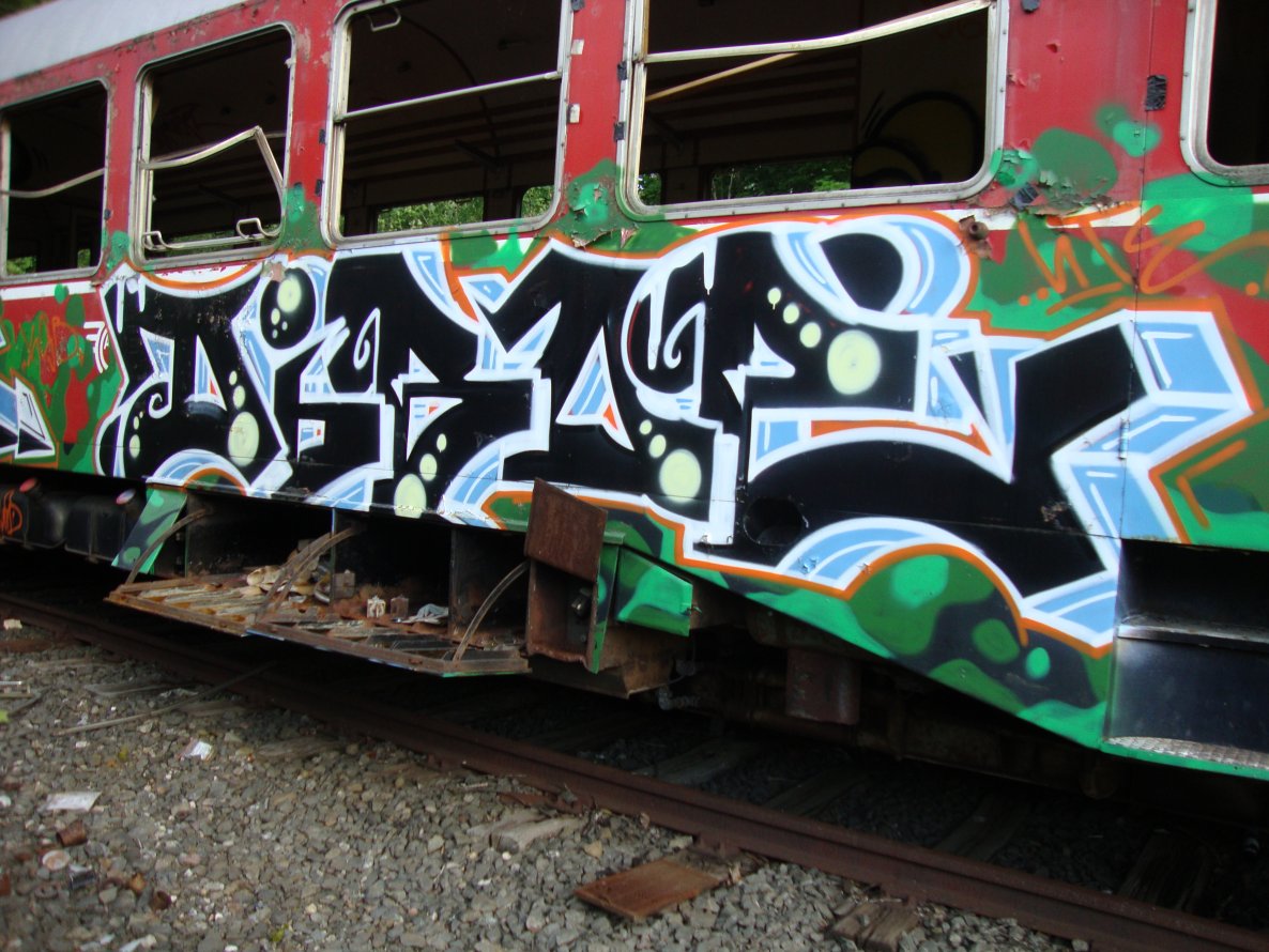 Graffiti Train - Photo by kieltaggsatnight - DIBOE (2013)