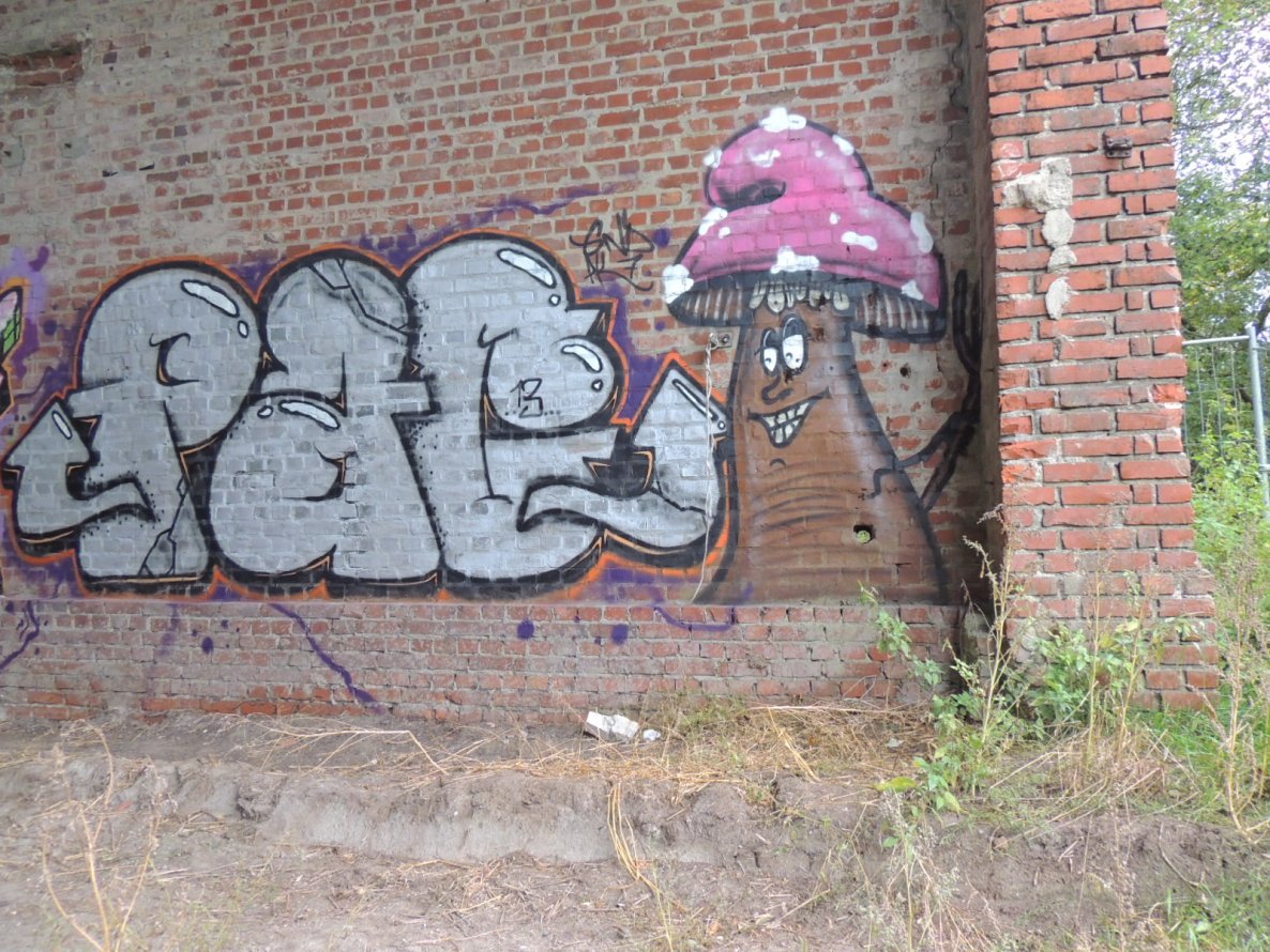 Graffiti Wall - Photo by kieltaggsatnight - Pac, PK7, GND (2013)