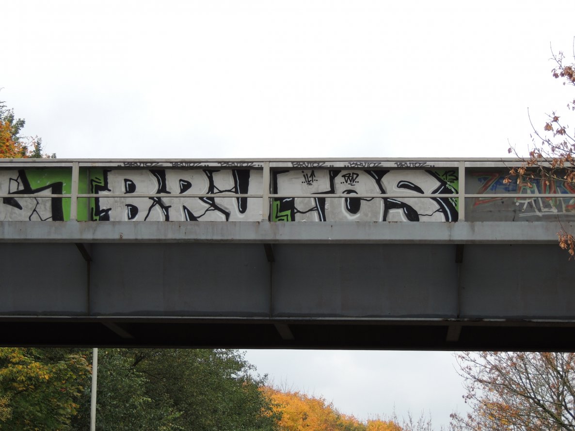 Graffiti Bombing - Photo by kieltaggsatnight - Brutos, QVD, ILT (2013)