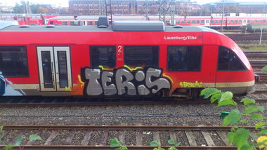 Graffiti Train - Photo by kieltaggsatnight - Teris (2013)